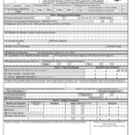 2013 Form PH BIR 1702 EX Fill Online Printable Fillable Blank