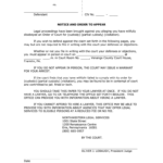 Chester County Pa Notice And Order To Appear Custody Csae Fill Out