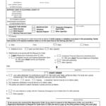 Child Custody Form 44 Free Templates In PDF Word Excel Download