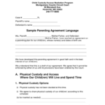 Child Custody Form 44 Free Templates In PDF Word Excel Download