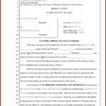 Cobb County Superior Court Divorce Forms Form Resume Examples