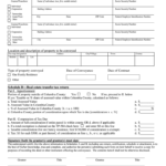 Columbia County Supplemental Transfer Tax Form Fill Online Printable