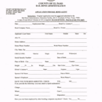 County Of El Paso Texas Bail Bond Board Fill And Sign Printable