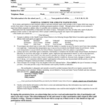 Dekalb County School Sports Physical Form Fill Out And Sign Printable