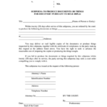 Eriecountygov Fill Out And Sign Printable PDF Template SignNow