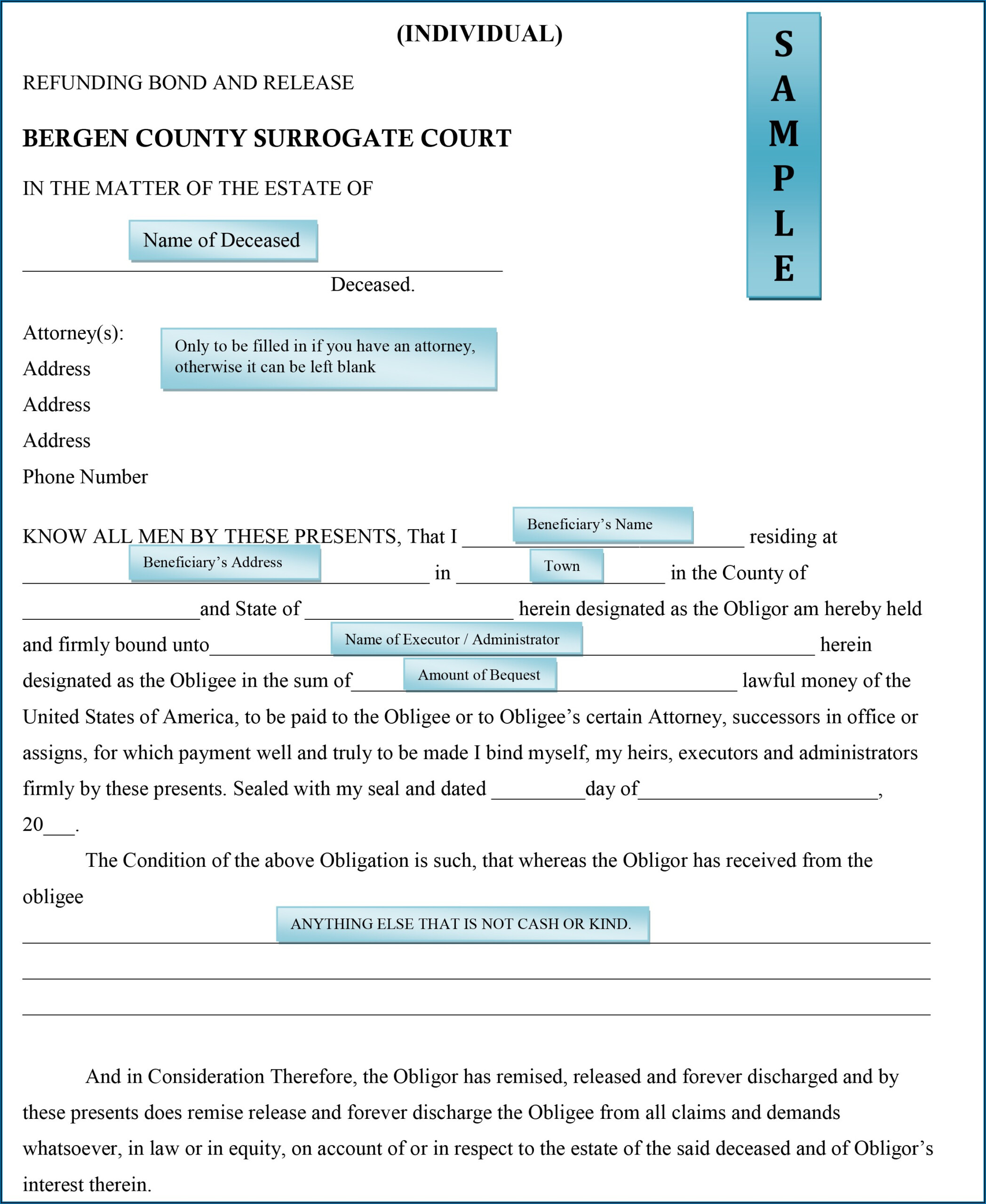 Surrogate s Court Suffolk County Probation Form CountyForms com