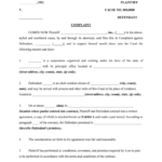 Fill Edit And Print Complaint For Breach Of Written Contract Seeking