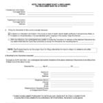 Fillable Form 447pc Filing Of A Disclaimer For Record County Of