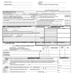 Form 571 L Business Property Statement 2005 Printable Pdf Download