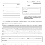 Lorain County Domestic Relations Court Forms Fill Out And Sign