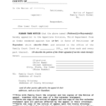 Notice Of Appeal Sample Fill Online Printable Fillable Blank