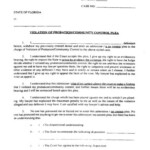 Orange County Violation Of Probation Or Community Control Plea Form