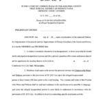 Preliminary Decree Orphans Court Division Printable Pdf Download