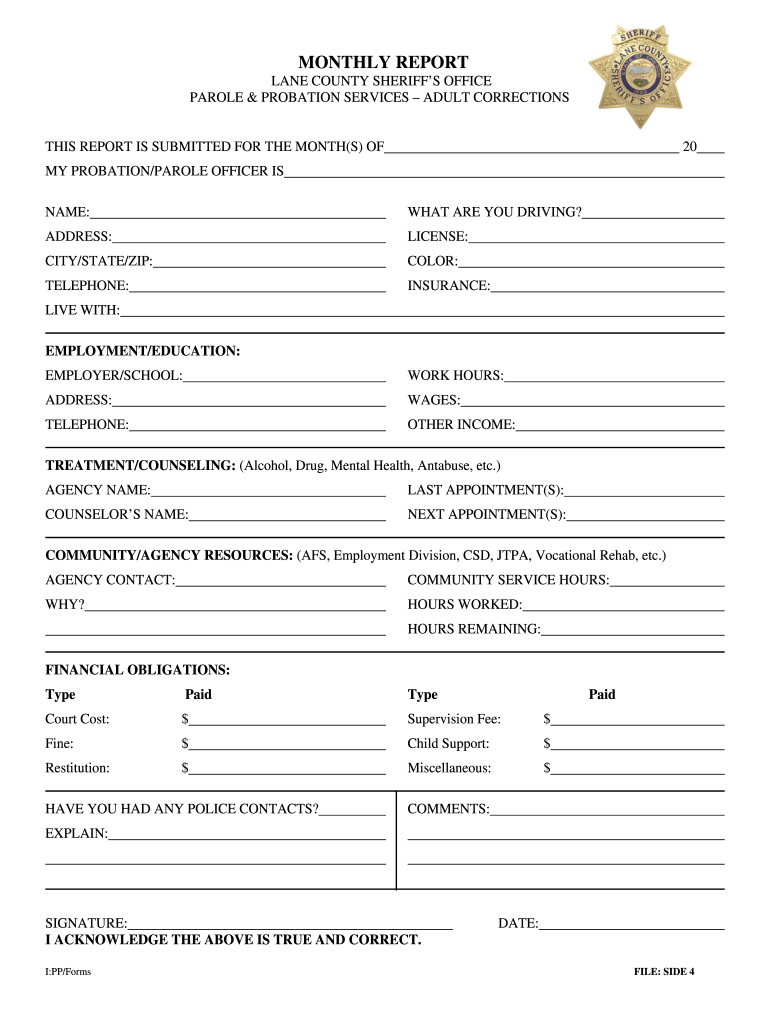 Probation Report Fill Out And Sign Printable PDF Template SignNow