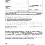 Small Claims Court Denver Fill Online Printable Fillable Blank