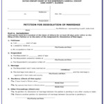 Small Claims Court Forms Palm Beach County Florida Form Resume