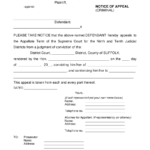 Suffolk County New York Notice Of Appeal Criminal Download Printable