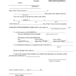 Summons And Endorsed Complaint New York Fill Out And Sign Printable