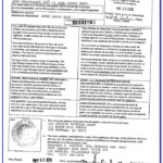 Tarrant County Probate Court Forms Form Resume Examples 12O8NoBDr8