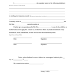 Temporary Custody Fill Out And Sign Printable PDF Template SignNow