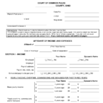 Uniform Domestic Relations Form 1 Download Fillable PDF Or Fill Online