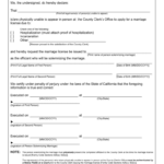 2009 Form CA Affidavit Of Inability To Appear And Request To Issuance