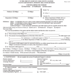 2011 Form IL CCDR 0107 Fill Online Printable Fillable Blank PdfFiller