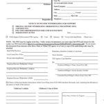 2013 Form IL CCDR 0556 A Fill Online Printable Fillable Blank