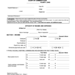 Affidavit Of Income And Expenses Ohio Court Of Common Pleas Printable