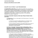 Declaration Sample Letter To Judge For Child Custody Certify Letter