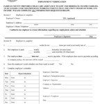 Fairfax County Employee Pay Stub Fill Out And Sign Printable PDF