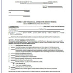 Family Court Affidavit Example