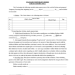 Fillable Standard Temporary Child Custody Parenting Time Order Form