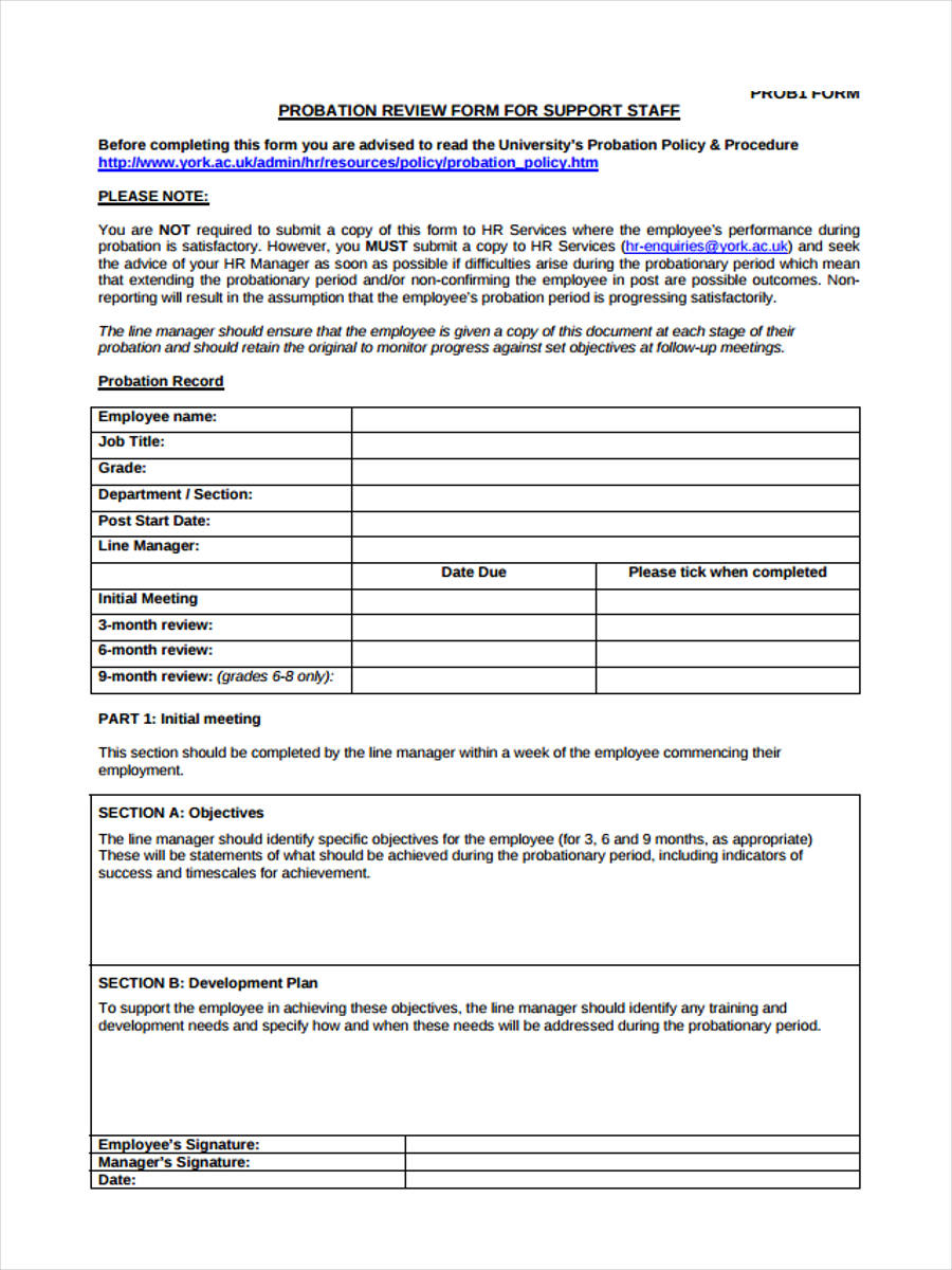 FREE 8 Probation Review Forms In MS Word PDF