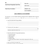 Georgia Probate Court Personal Status Report Fill Online Printable