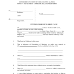 Illinois Rule Show Fill Out And Sign Printable PDF Template SignNow