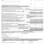 Local Earned Income Tax Return Mifflin County School District 2007