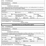 Nassau County Family Court Information Sheet Template Printable Pdf