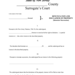 New Jersey Renunciation And Disclaimer Of Property Received By