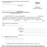 New York Notice Of Appeal To Appellate Division Third Judicial