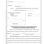 Order Regarding Temporary Guardianship Of Minor And Notice Of