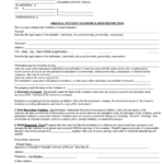 Original Petition To Enforce Deed Restriction Form Justice Court Of