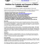 Petition For Custody And Support Of Minor Children Packet