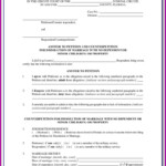 Pima County Divorce Forms Form Resume Examples N8VZDK09we