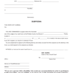 Subpoena Pinellas County Fill Online Printable Fillable Blank