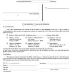 2011 Form IL CCG N001 Fill Online Printable Fillable Blank PdfFiller