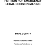 2013 Form AZ Petition For Emergency Legal Decision Making Fill Online