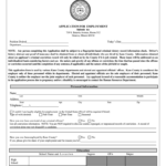 2015 2021 Form IL Application For Employment Kane County Fill Online