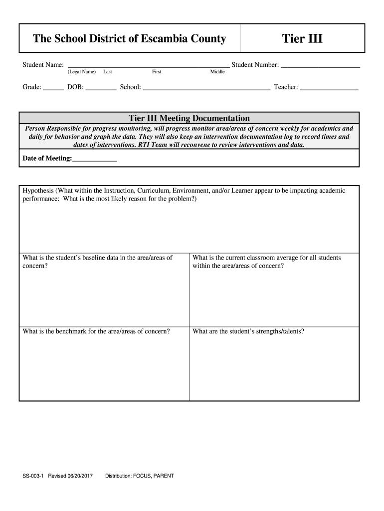 2017 2021 Form FL The School District Of Escambia County Tier 3 Fill 