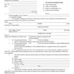 2018 2022 Form NY Petition For Probate Fill Online Printable Fillable